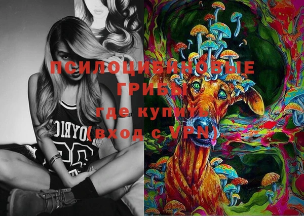 амф Белоозёрский
