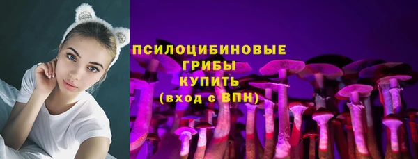 меф Белокуриха