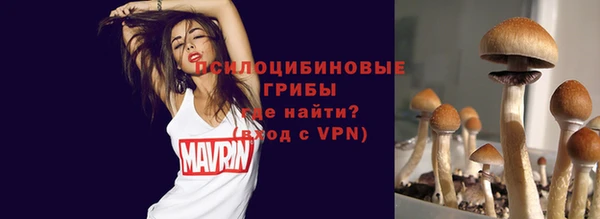 амф Белоозёрский