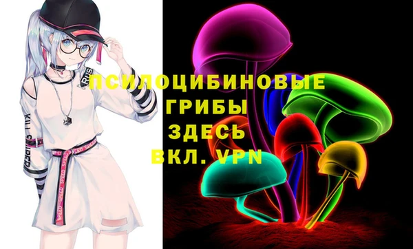 меф Белокуриха