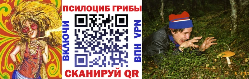 закладки  Волчанск  Галлюциногенные грибы мицелий 